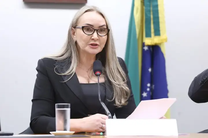Daniela Reinehr é eleita presidente da Comissão de Turismo e anuncia plano de competitividade
