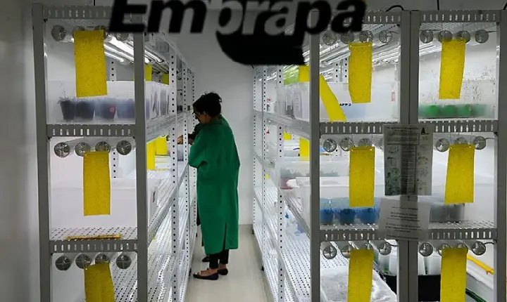 Entra em vigor lei que garante isenção de taxas para Embrapa