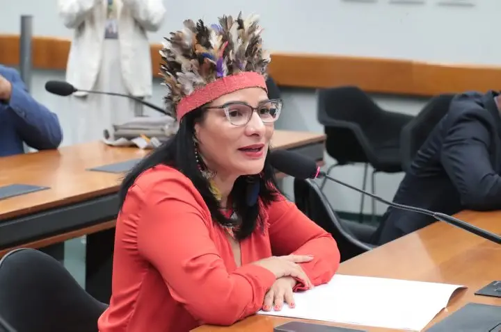 Juliana Cardoso é eleita presidente da Comissão da Amazônia