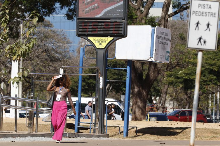 Efeitos das mudanças do clima agravam alergias, diz especialista